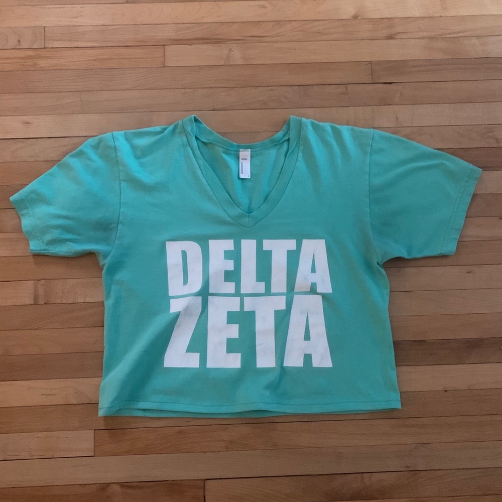 Delta Zeta Block Letter Crop Top